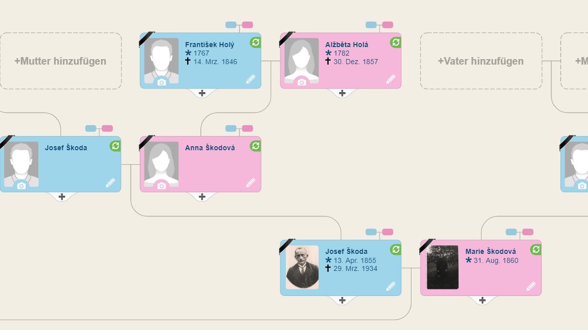 Wie erstellt man einen kostenlosen Stammbaum über MyHeritage, auch ohne bekannte Verwandte