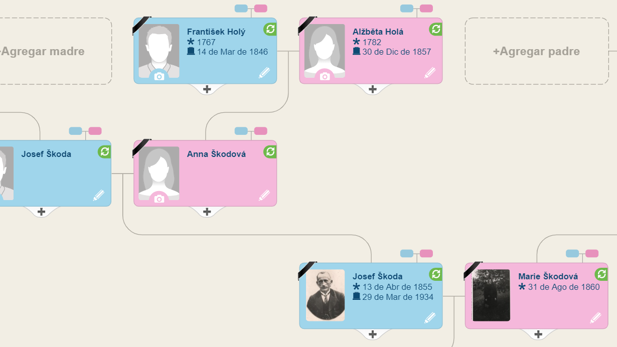 Cómo crear un árbol genealógico gratuito a través de MyHeritage incluso si no conoces a tus antepasados