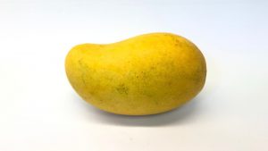 10 consejos para cultivar árboles de mango en casa
