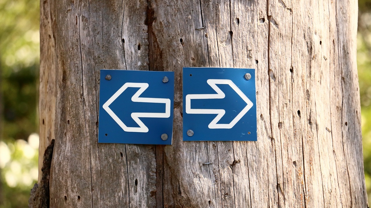 Cómo enseñar derecha e izquierda en primer grado | © Pixabay.com