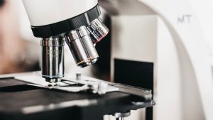 Come scegliere un microscopio: suggerimenti e linee guida