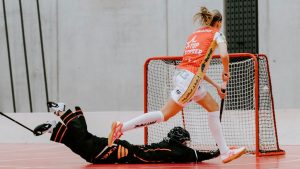 How to choose a floorball