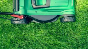 How to Choose the Perfect Lawn Mower for Your Yard