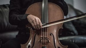 Ten Tips for Choosing the Right Cello: A Guide for Beginners