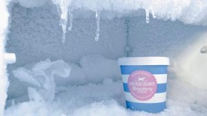 “The Ultimate Guide to Choosing the Perfect Freezer: 10 Tips to Consider”