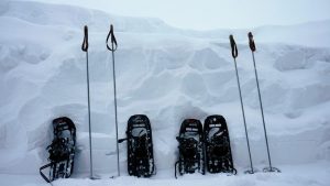How to Choose Snowshoes: Tips and Guidelines