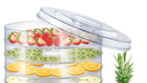 How to Choose the Perfect Food Dehydrator: 10 Tips to Consider